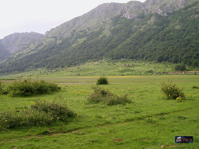 zona paludosa.JPG